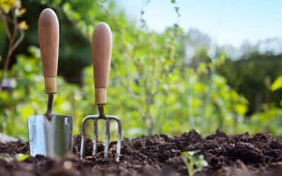 6 Top Tips to a Summer-Ready Garden