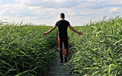 Increase the sustainability of your business
