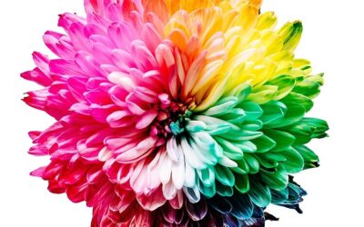 GSCE’s and A Levels: True colours and EQ
