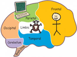 RESISTANCE TO CHANGE – IT’S NOT YOU, IT’S YOUR BRAIN!