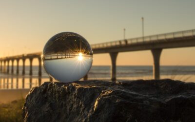 The 7 Roles of a Financial Adviser