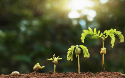 How to refresh your communications and marketing strategy
