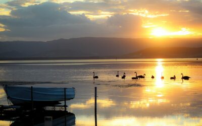 The Reality of Retirement – Adapting to Change
