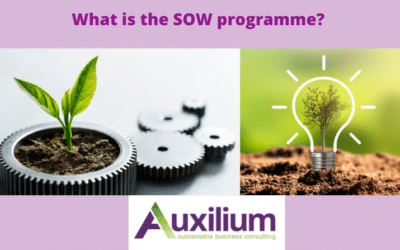 How to get started with your sustainability journey as a small buisness.