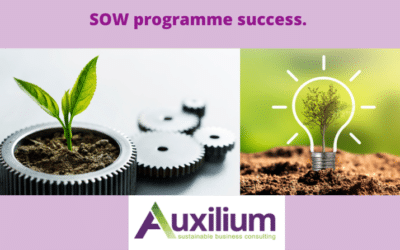 How I have helped 3 Clients on my SOW Programme.
