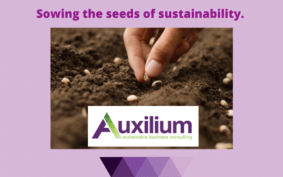 Sowing the seeds of sustainability for your small business.