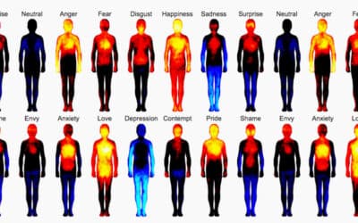 Where Are You Feeling?